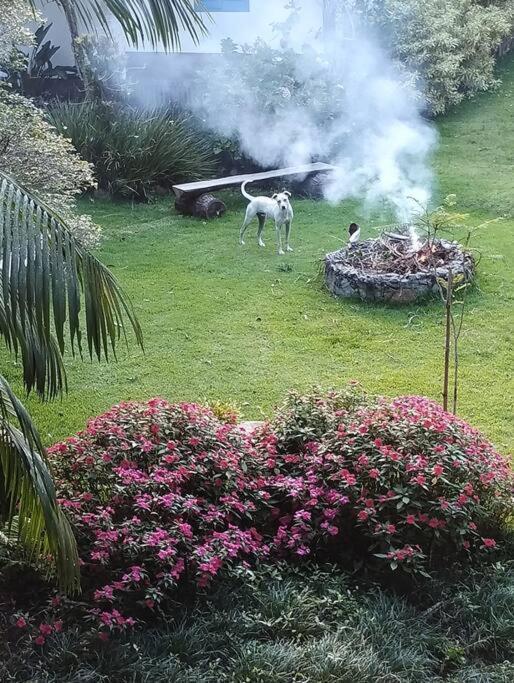 Holiday home Sitio Canto Da Roca Com Cachoeira Domingos Martins
