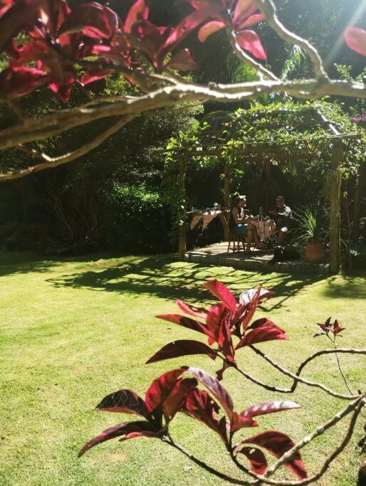 Sitio Canto Da Roca Com Cachoeira *