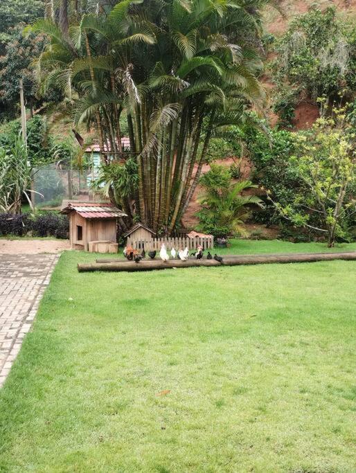 Sitio Canto Da Roca Com Cachoeira * Domingos Martins