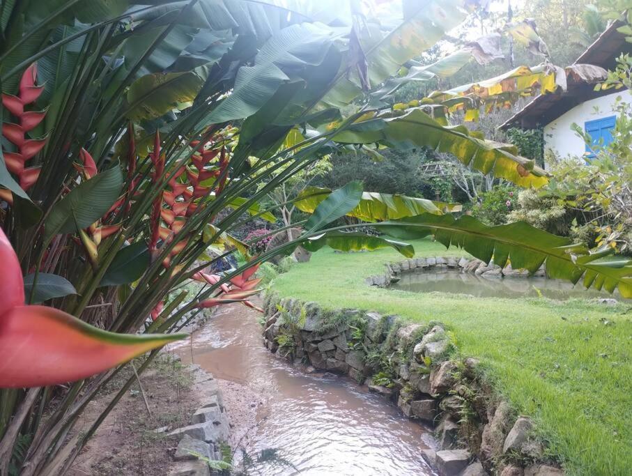 Sitio Canto Da Roca Com Cachoeira * Domingos Martins